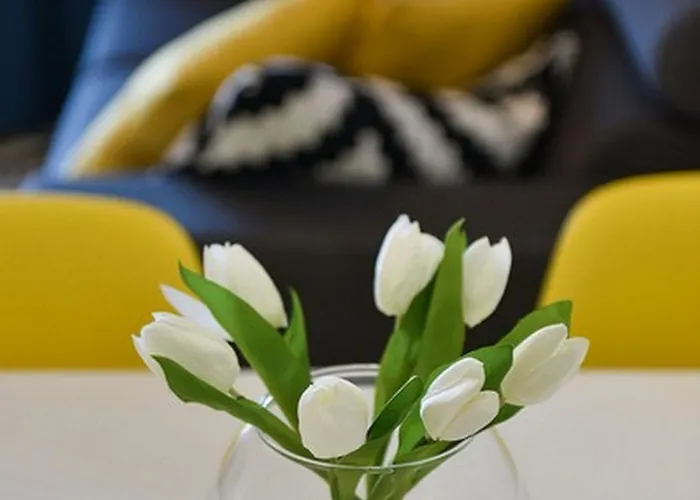 Mediterraneo Garden Apartments