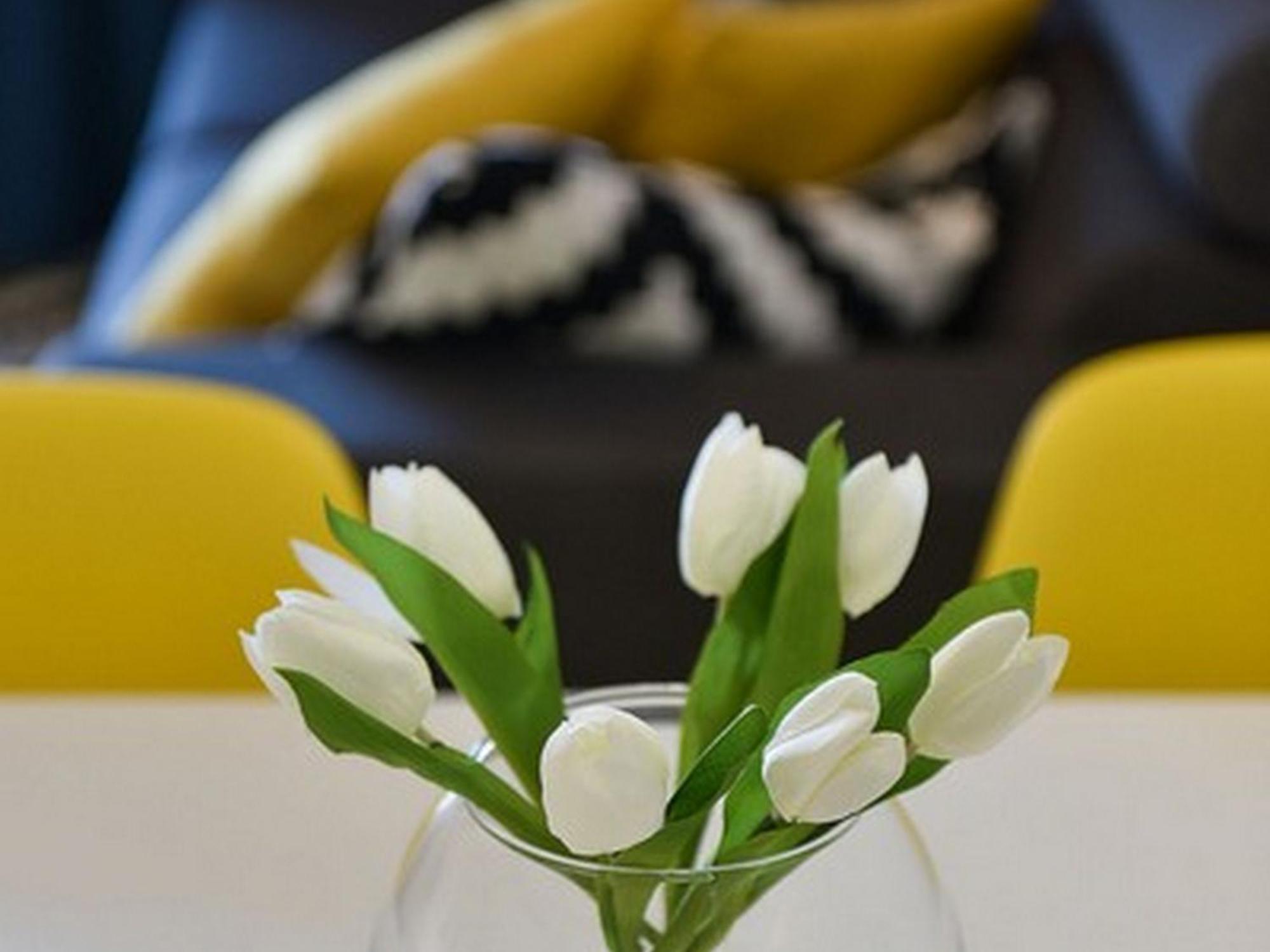 Mediterraneo Garden Apartment